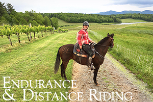Endurance and Distance Riding
